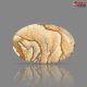 Picture Jasper 27.54 Carat