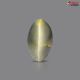 Black Quartz Cat's Eye 6.60 Carats