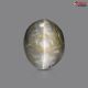 Black Quartz Cat's Eye 6.19 Carats