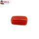 ITALIAN RED CORAL