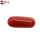 ITALIAN RED CORAL