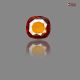 Ceylon Hessonite (Gomed)