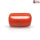 Italian Red Coral 7.51 cts