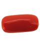 Italian Red Coral