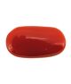 Italian Red Coral