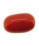 Italian Red Coral
