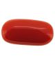 Italian Red Coral