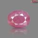 African Ruby Stone 5.65  carat
