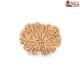 Natural Nepali 12 Mukhi Rudraksha