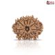 Natural Nepali 11 Mukhi Rudraksha 