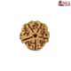 Natural 5 Mukhi Rudraksha 