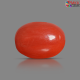 Italian Red Coral 6.00 cts