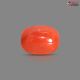 Italian Red Coral (Moonga) 5.12 Carats