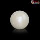  South Sea Pearl (Moti) 10.47 Carat