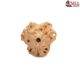 Natural Nepali 3 Mukhi Rudraksha