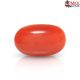 Japanese Red Coral Stone 5.84 Carat