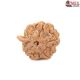 Natural Ganesha Rudraksha 