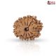 Natural Nepali 11 Mukhi Rudraksha 