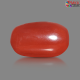 Italian Red Coral 6.41 cts