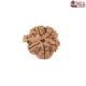 Natural Ganesha Rudraksha 