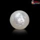 South Sea Pearl (Moti) 5.76 Carat