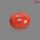 Italian Red Coral (Moonga) 5.08 Carats