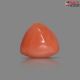Italian Red Coral (Moonga) 9.29 Carats