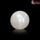  South Sea Pearl (Moti) 11.45 Carat