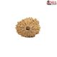 Natural Nepali 12 Mukhi Rudraksha