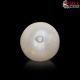  South Sea Pearl (Moti) 6.19 Carat
