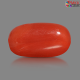 Italian Red Coral 6.47 cts