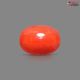 Italian Red Coral (Moonga) 5.15 Carats