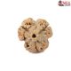 Natural Nepali 3 Mukhi Rudraksha