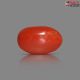 Italian Red Coral (Moonga) 2.61 Carats