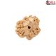 Natural Nepali 3 Mukhi Rudraksha