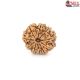 Natural Nepali 10 Mukhi Rudraksha 