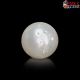  South Sea Pearl (Moti) 5.83  Carat