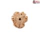 Natural Nepali 3 Mukhi Rudraksha