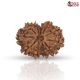 Natural Nepali 11 Mukhi Rudraksha 