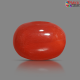 Italian Red Coral 5.89 cts