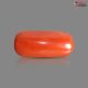 Italian Red Coral (Moonga) 5.38 Carats