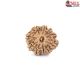Natural Nepali 10 Mukhi Rudraksha 