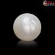  South Sea Pearl (Moti) 5.83 Carat