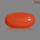 Italian Red Coral 5.44 cts