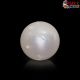  South Sea Pearl (Moti) 5.49 Carat