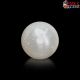  South Sea Pearl (Moti) 4.81 Carat