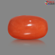 Italian Red Coral 6.13 cts