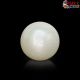  South Sea Pearl (Moti) 5.31 Carat