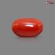 Italian Red Coral (Moonga) 5.11 Carats