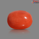 Italian Red Coral 7.00 cts
